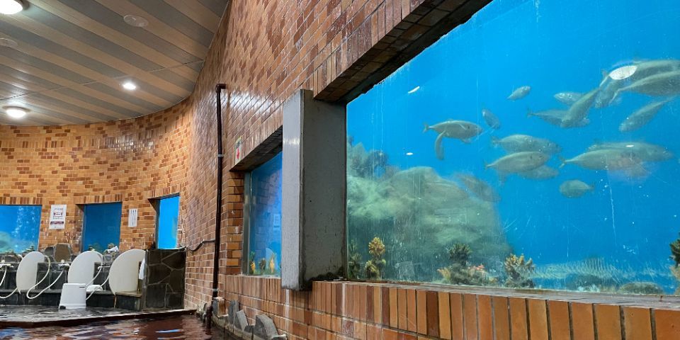平戸海上ホテル水族館風呂
